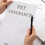 pet insurance concept