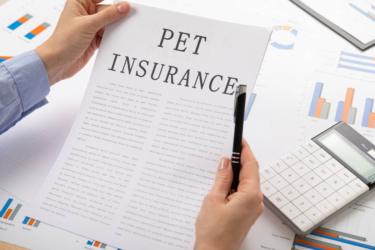 a-guide-to-pet-insurance